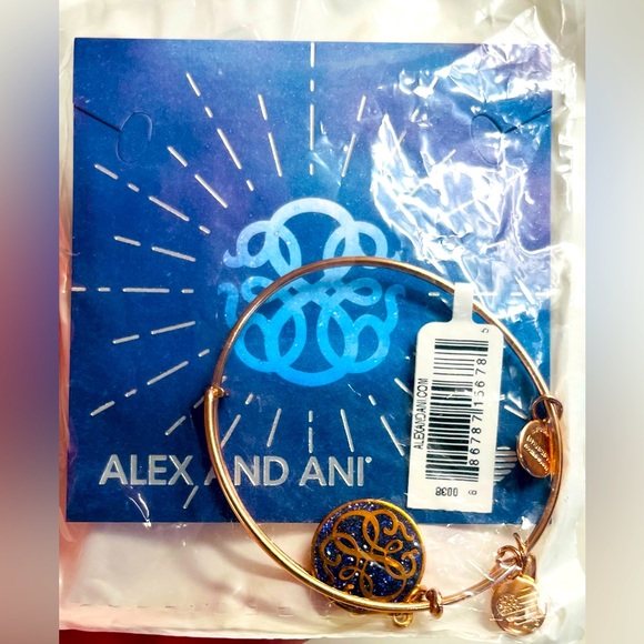 Alex and Ani “Path of Life” Color Infusion Charm Bangle NWT Original Packaging - Picture 2 of 4